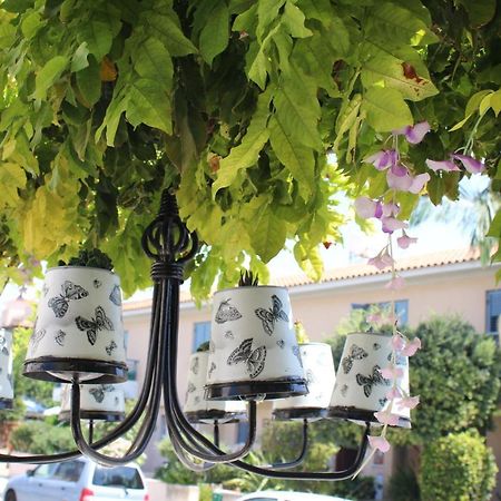 Ivoton Home Paphos Exterior foto